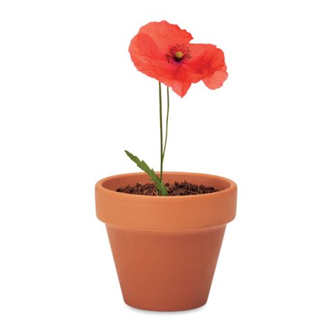 Pot graines de coquelicot bois | sans marquage | non disponible | non disponible | non disponible