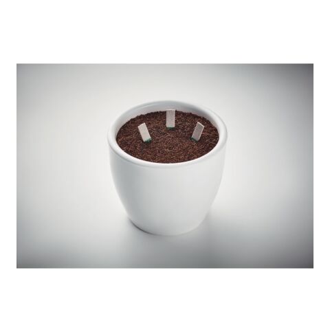 Bâtons de graines d&#039;herbes beige | sans marquage | non disponible | non disponible | non disponible