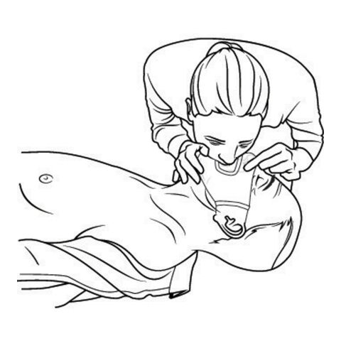 Premiers secours rouge | sans marquage | non disponible | non disponible