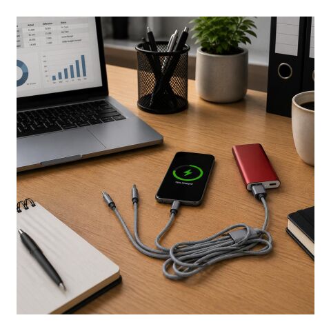 Câble de charge 1 mètre argent