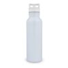 Bouteille isotherme Dario 500 ml Blanc | sans marquage | non disponible | non disponible