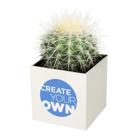 Pot en aluminium avec cactus Hey Pots blanc | sans marquage | non disponible | non disponible