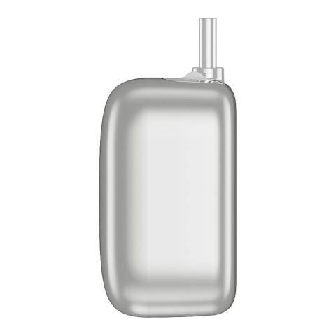 Adaptateur USB-C à déconnexion automatique ChargeGuard RCS argent