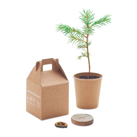 Kit de plantation avec graines de pin beige | sans marquage | non disponible | non disponible | non disponible