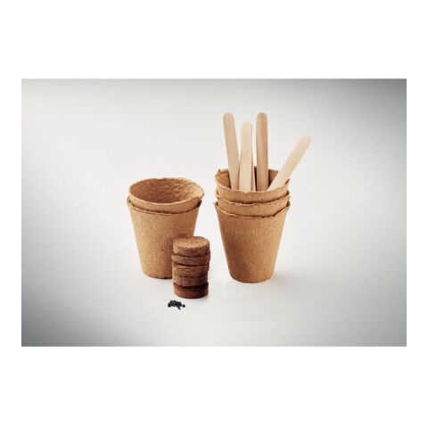 Kit de culture de fleurs beige | sans marquage | non disponible | non disponible | non disponible