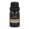 InSideOut Aroma Hanger Huile de bois de santal 10 ml Marron