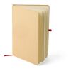 Carnet A5 Haze rouge | sans marquage | non disponible | non disponible