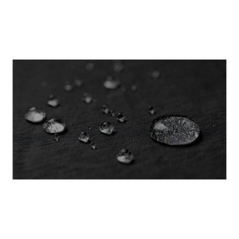 Sac banane Trailhead de 2,5 L léger et en tissu recyclé GRS Standard | Noir-Gris | Not applicable | sans marquage | non disponible | non disponible | non disponible