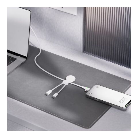 Câble USB-C long Xoopar Mr. Bio de 1 mètre Blanc | sans marquage | non disponible | non disponible