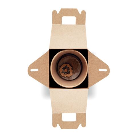 Kit de plantation avec graines de pin beige | sans marquage | non disponible | non disponible | non disponible